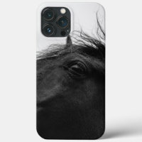 Minimal Schwarz-weißes Pferdportrait Reittiere