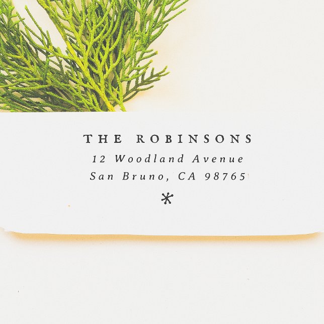 Minimal Snowflake Weihnachten Rücksendeadresse Gummistempel (Von Creator hochgeladen)