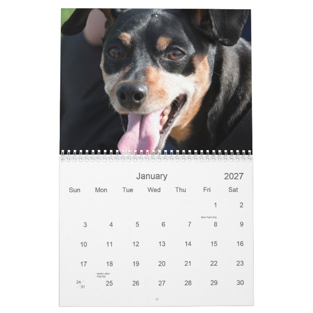 Minimale Buttone 2013 Kalender (Jan 2027)
