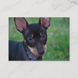 Minimale Buttongeschäftskarten Visitenkarte