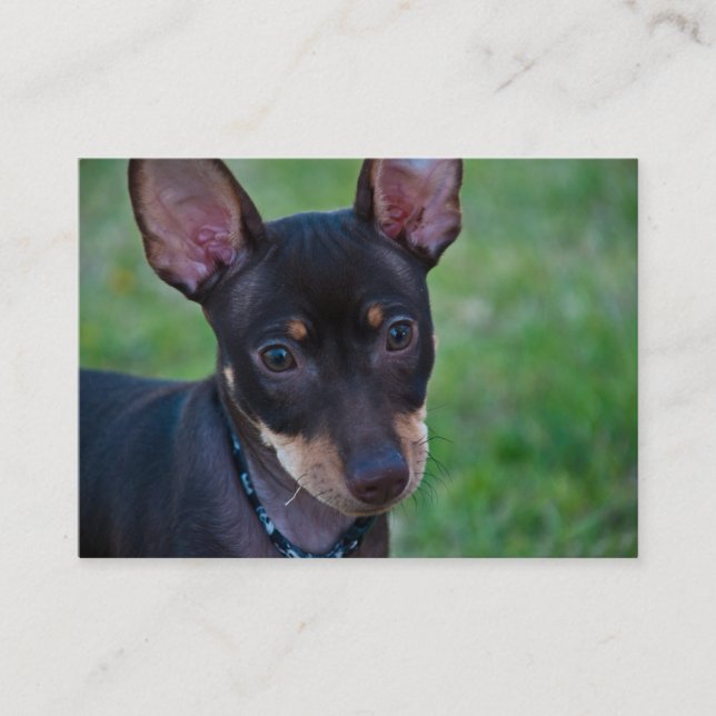 Minimale Buttongeschäftskarten Visitenkarte (Vorderseite)