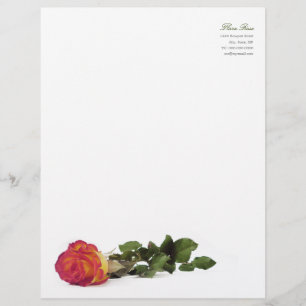Minimale moderne rote gelbe Rosen-persönlicher Briefbogen