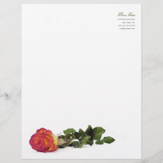 Minimale moderne rote gelbe Rosen-persönlicher Briefbogen