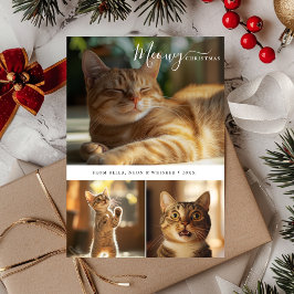 Minimale Niedliche Katze Meowy Weihnachten 3 FotoC