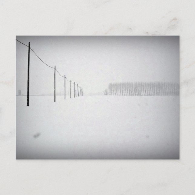 Minimale Schneeballkarte Postkarte (Vorderseite)