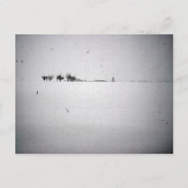 Minimale Schneeballkarte Postkarte (Vorderseite)