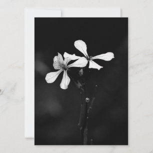 minimale schwarze und weiße Blumenelemente Feiertagskarte