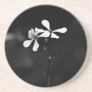 minimale schwarze und weiße Blumenelemente Getränkeuntersetzer