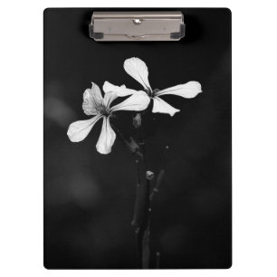 minimale schwarze und weiße Blumenelemente Klemmbrett