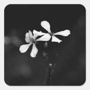 minimale schwarze und weiße Blumenelemente Quadratischer Aufkleber