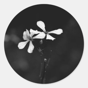 minimale schwarze und weiße Blumenelemente Runder Aufkleber