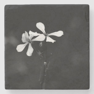 minimale schwarze und weiße Blumenelemente Steinuntersetzer