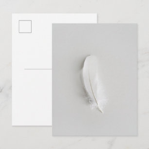 Minimale weiße Feder Postkarte