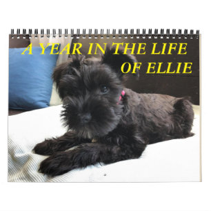 Minimalismus Kalender JEDES JAHR/GRÖSSE/FARBE/DESI