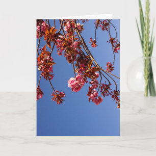 Minimalismus Rosa Blumen Kirschblüten Liebe Hoffnu Karte