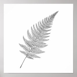 Minimalist Botanical Print: Elegant Fractal Fern Poster