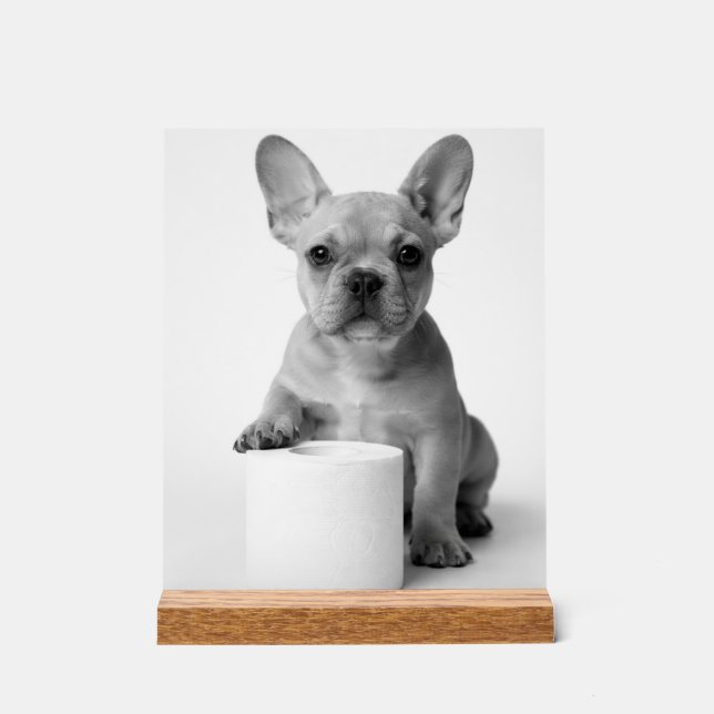 Minimalist Funny French Bulldog Guards ToiletPaper Acrylschild (Vorderseite)