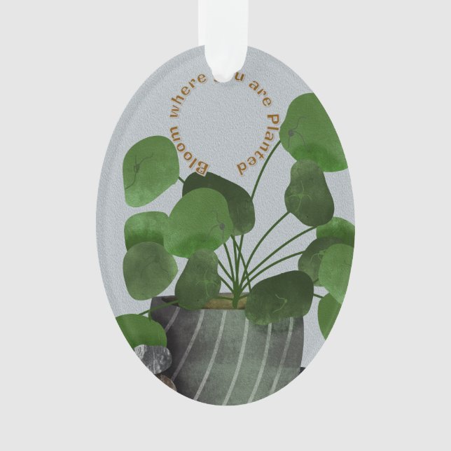 Minimalist Money Plant - Acrylic Oval Ornament (Vorderseite)