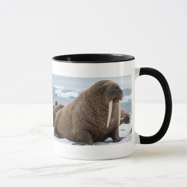 Minimalist Walross Tasse | Einzigartiges Geschenk  (Rechts)