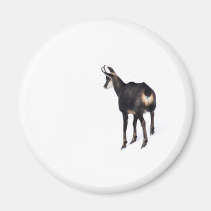 Minimalistisch Alpinistisches Gämse Bergziege auf  Magnet