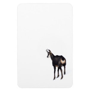 Minimalistisch Alpinistisches Gämse Bergziege auf Magnet