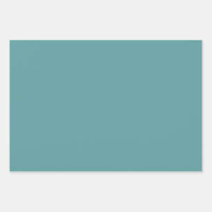 Minimalistisch Beruflich Modernes Schlichtes Cadet Geschenkpapier Set