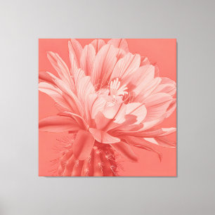 Minimalistisch Coral Cactus Bloom Leinwanddruck