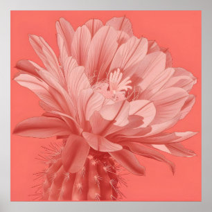 Minimalistisch Coral Cactus Bloom Poster