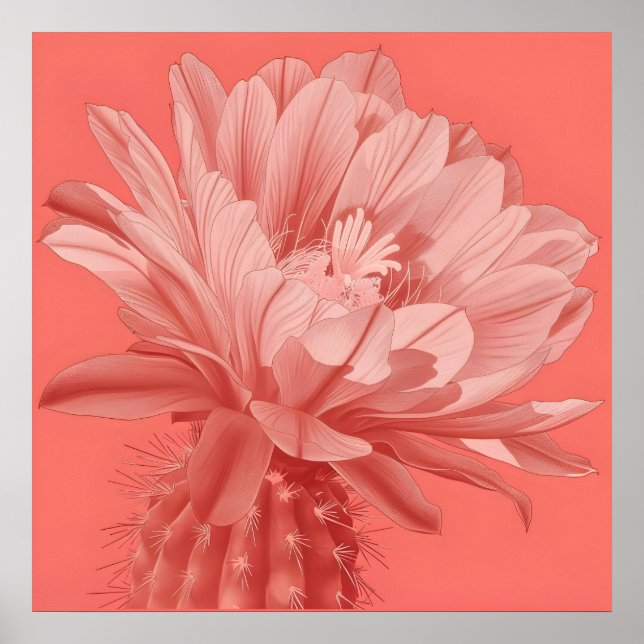 Minimalistisch Coral Cactus Bloom Poster (Vorne)