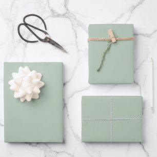 Minimalistisch Sage Green Schlicht Solid Color Geschenkpapier Set