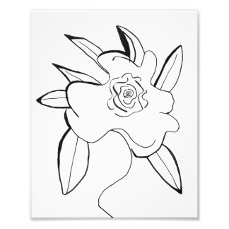 Minimalistische Blume Fotodruck
