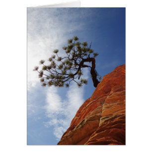 Minimalistische Bonsai Tree Zion Nationalparkkarte