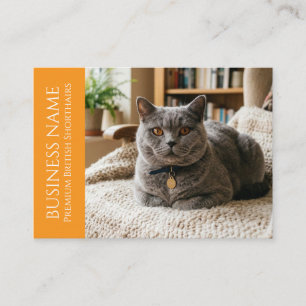 Minimalistische British Shorthair individuell anpa Visitenkarte