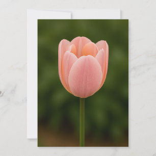 Minimalistische Dankeskkarte mit einer Blume Dankeskarte