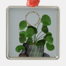 Minimalistische Geldpflanze - Premium Quadrat-Orna