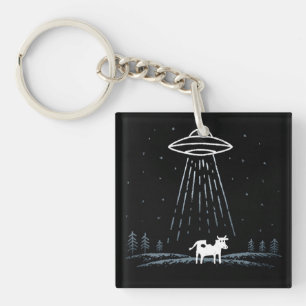 Minimalistische Illustration eines UFOs, das eine Schlüsselanhänger