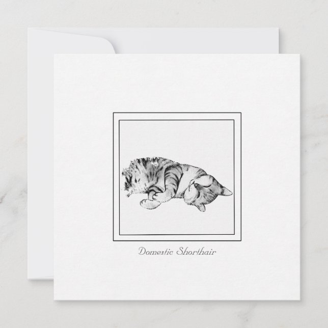 Minimalistische Kreide- und Katzenkatze Mitteilungskarte (Vorderseite)