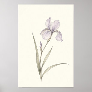 Minimalistische lila Iris Botanische Wandkunst Poster