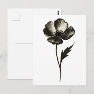 Minimalistische Mohnblume – Monochrome botanische Postkarte