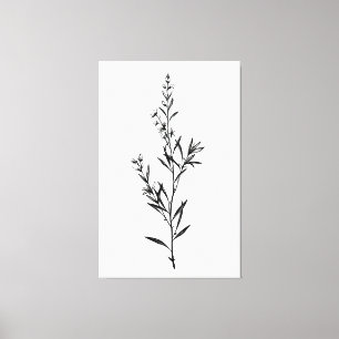 Minimalistische monochrome Rosemary Sprig Sketch Leinwanddruck