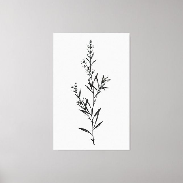 Minimalistische monochrome Rosemary Sprig Sketch Leinwanddruck (Vorderseite)