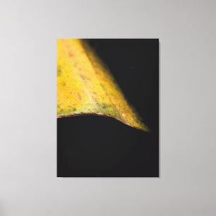 Minimalistische Naturfotografie Blatt im Schatten Leinwanddruck