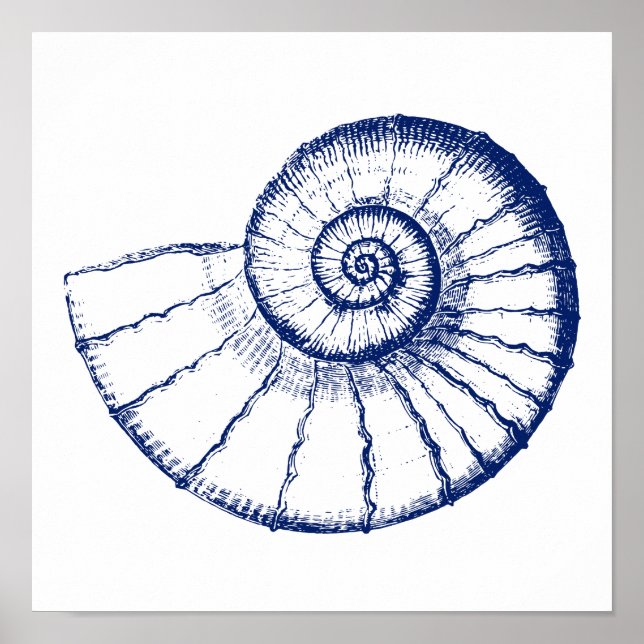 Minimalistische Nautilus-See-Muschel Poster (Vorne)
