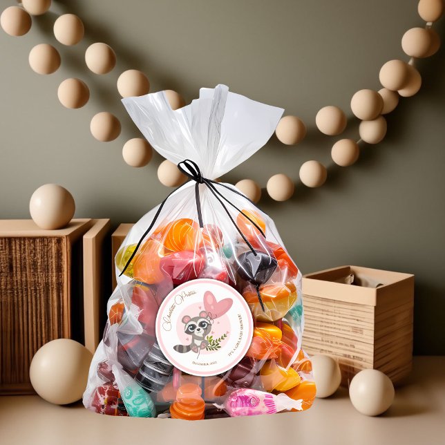 Minimalistische Niedliche Raccoon Babydusche Runder Aufkleber (Minimalist Cute Raccoon Baby Shower Classic Round Sticker)