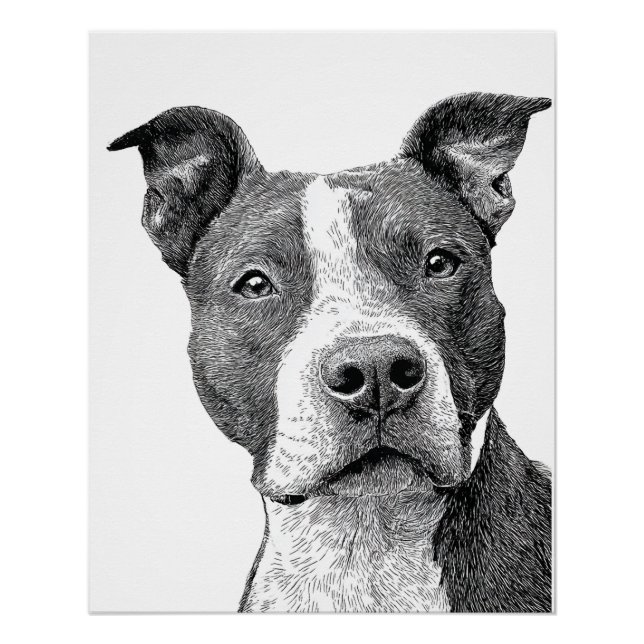 Minimalistische Pitbuli-Silhouette Schwarz-Weiß Poster (Vorderseite)