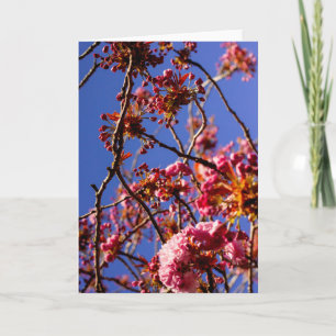 Minimalistische rosa Blumen Kirschblüten Hoffnung  Karte