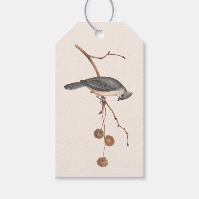 Minimalistische Rosa- und Graubvogelmarke Geschenkanhänger (Vorderseite)