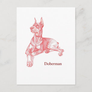 Minimalistische rote Bleistiftzeichnung Dobermann Postkarte
