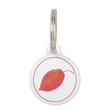 Minimalistische Rote Herbstleaf- und Haustierinfor