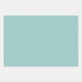 Minimalistische Salbei Grün Schlichte Solid-Farben Geschenkpapier Set